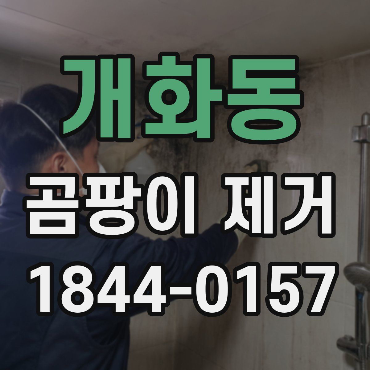 개화동 곰팡이 제거