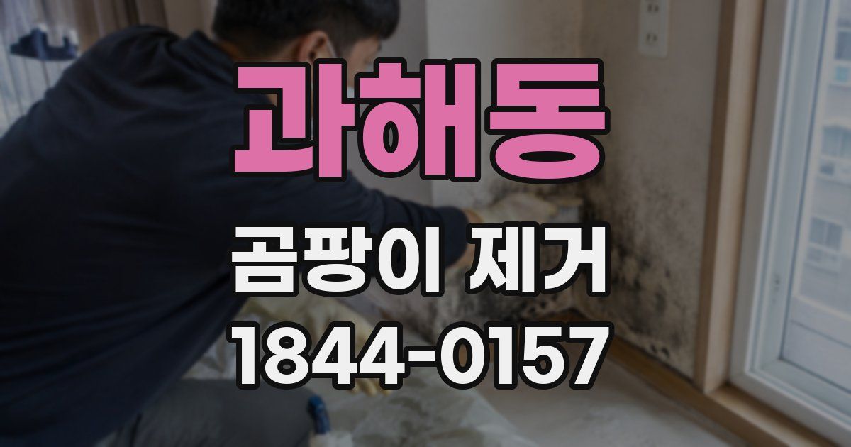 과해동 곰팡이 제거