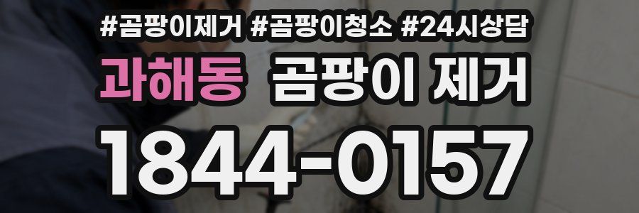 과해동 곰팡이 제거