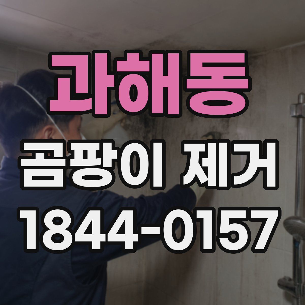 과해동 곰팡이 제거