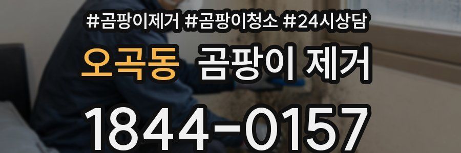 오곡동 곰팡이 제거