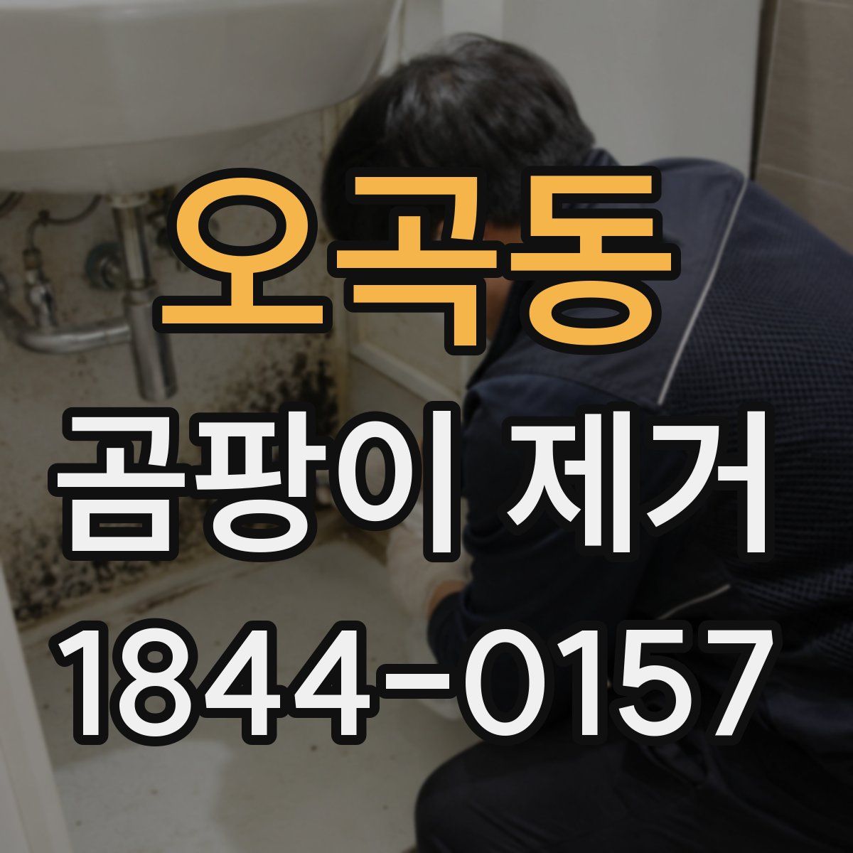 오곡동 곰팡이 제거