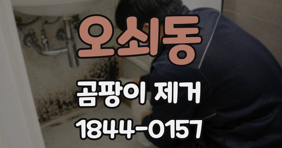 오쇠동 곰팡이 제거