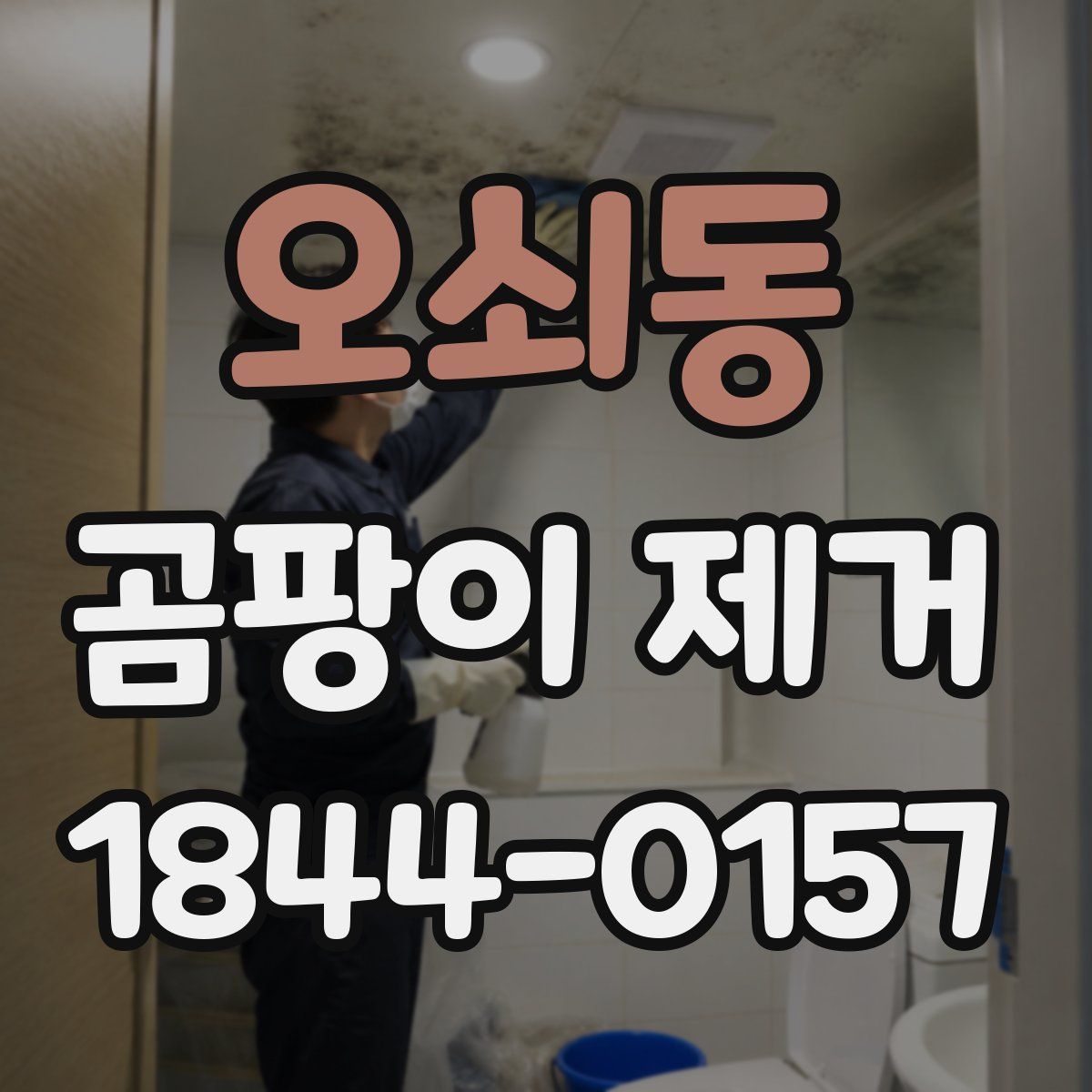 오쇠동 곰팡이 제거