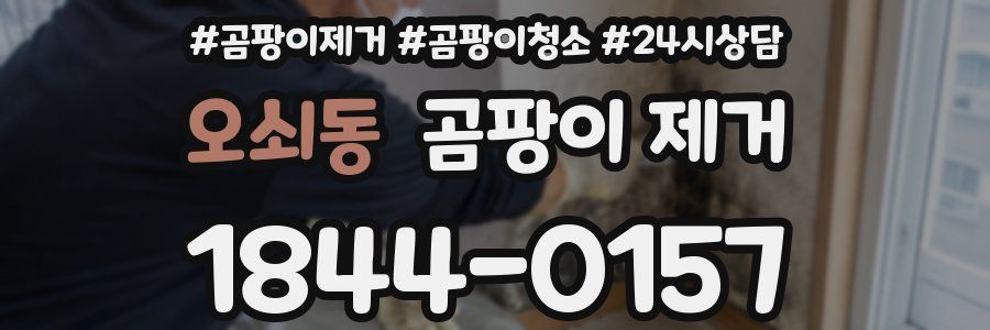 오쇠동 곰팡이 제거