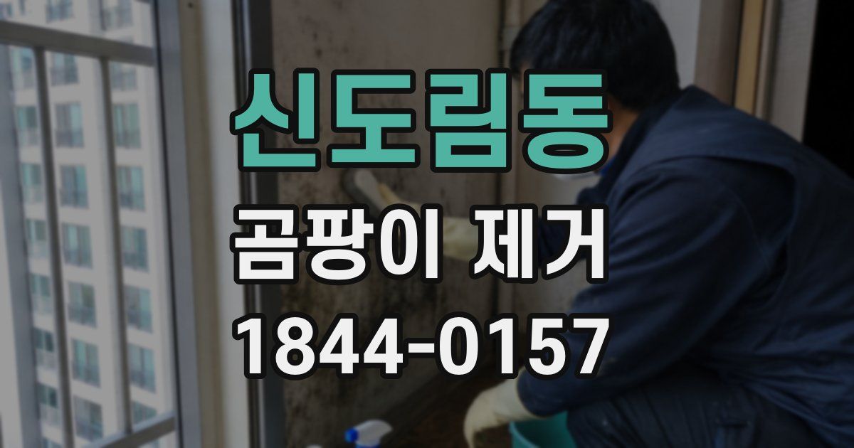 신도림동 곰팡이 제거