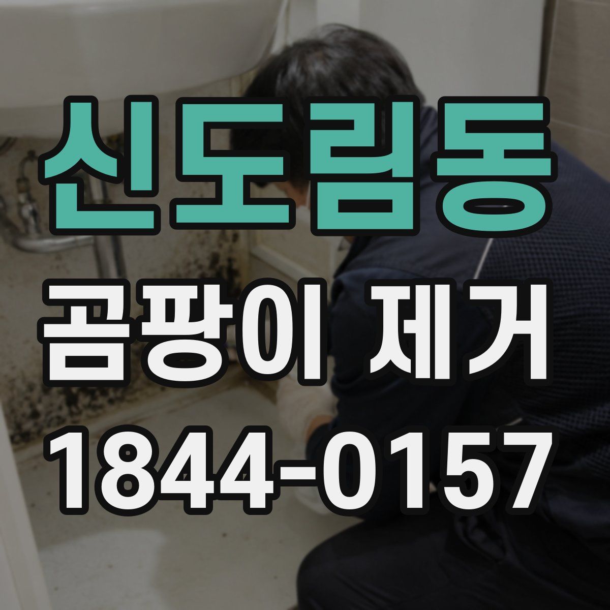 신도림동 곰팡이 제거