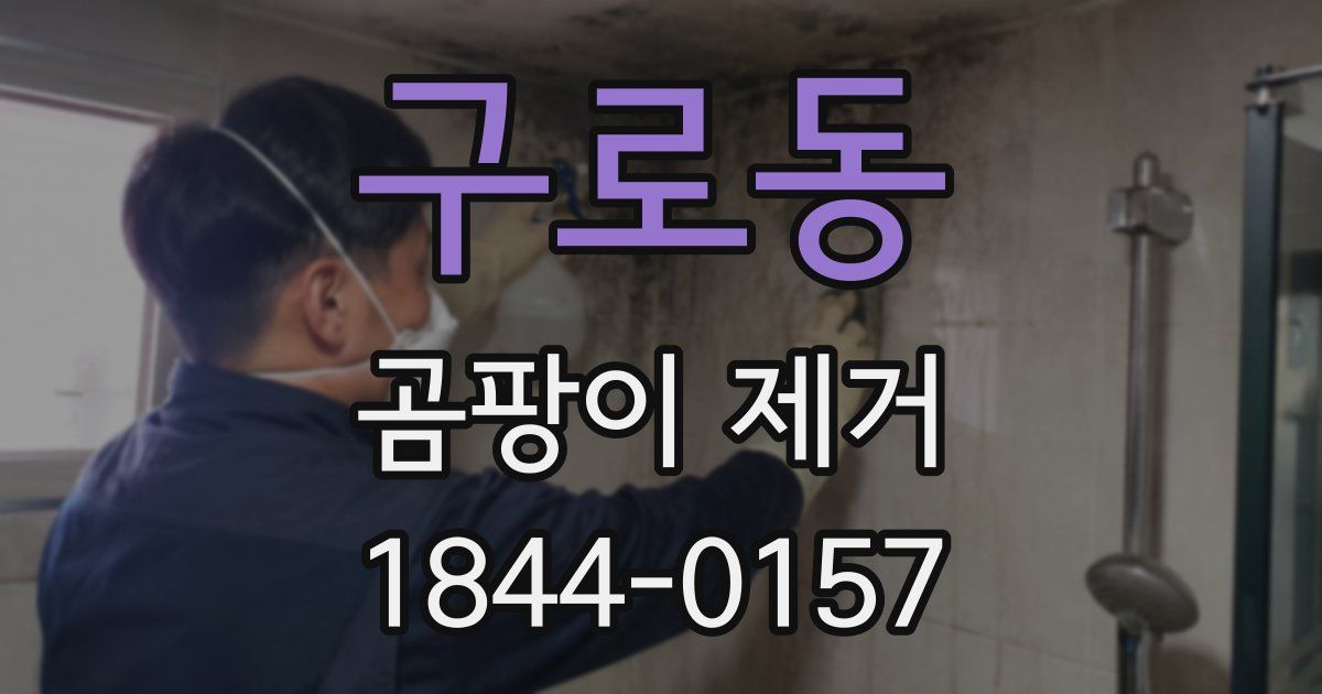 구로동 곰팡이 제거
