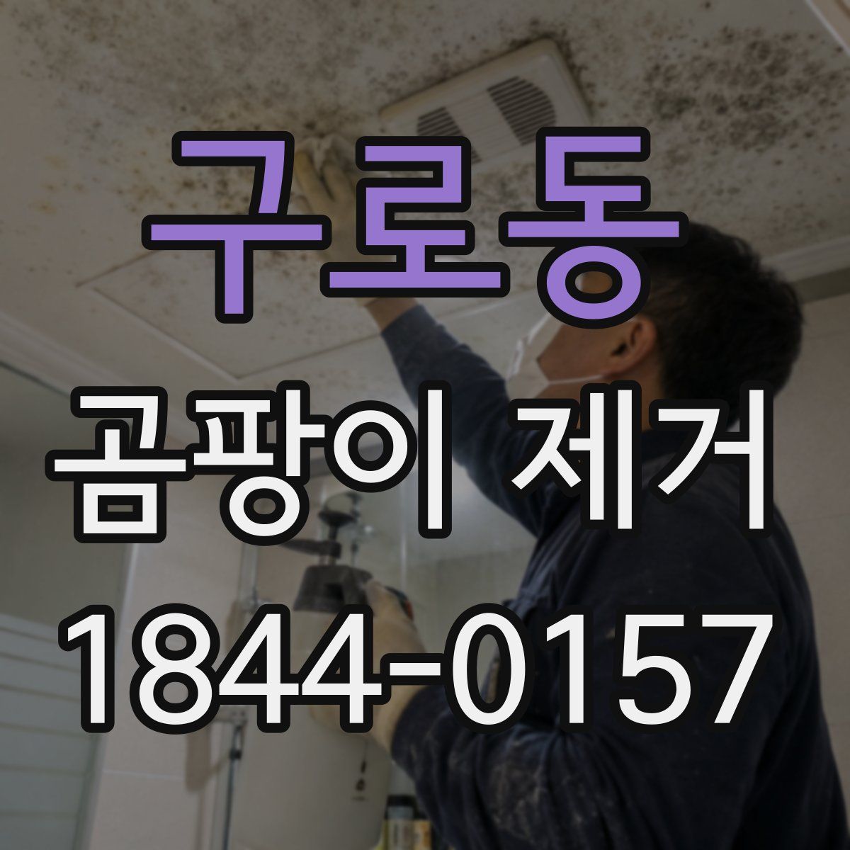 구로동 곰팡이 제거