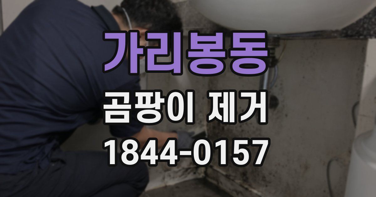 가리봉동 곰팡이 제거