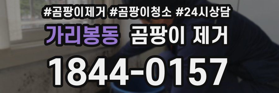 가리봉동 곰팡이 제거