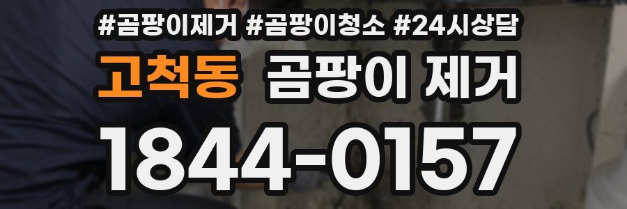고척동 곰팡이 제거