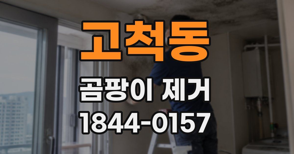 고척동 곰팡이 제거