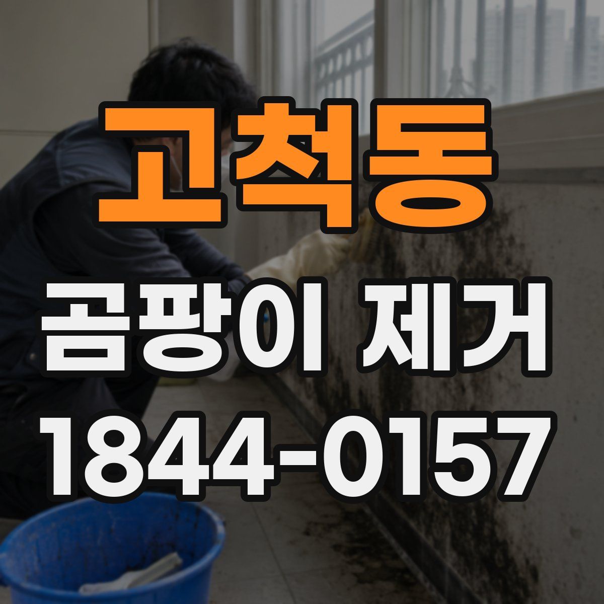 고척동 곰팡이 제거
