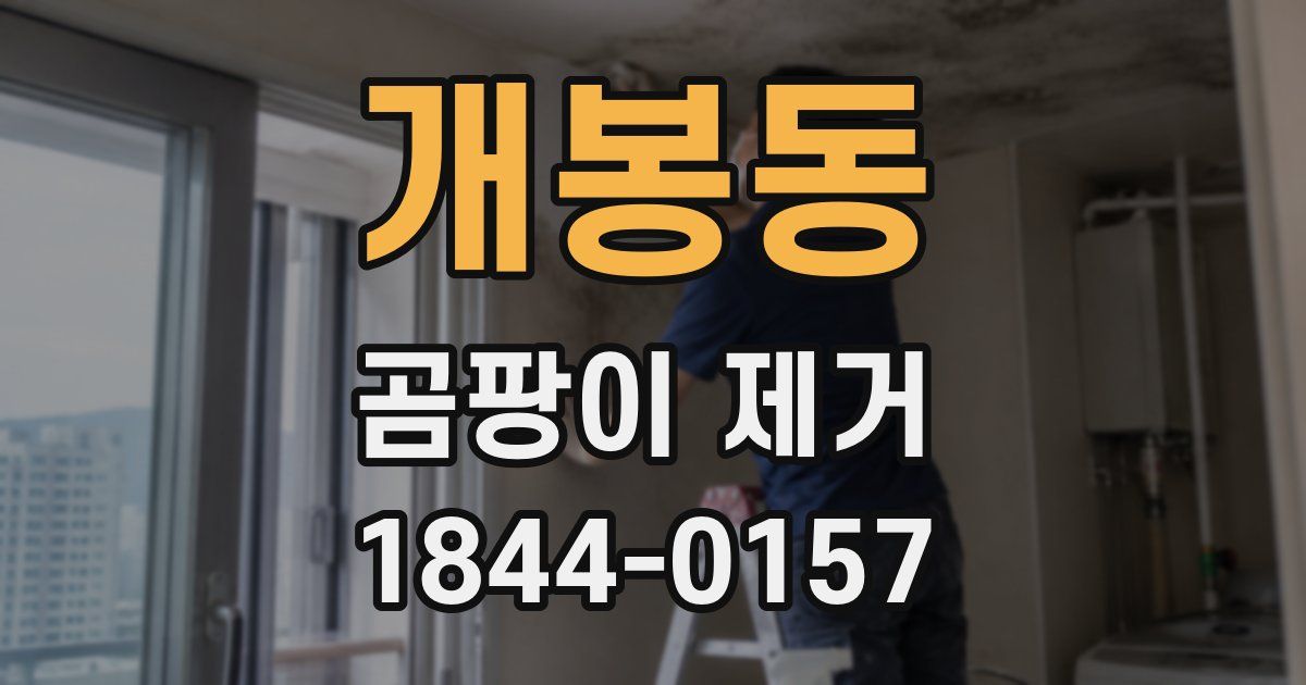 개봉동 곰팡이 제거