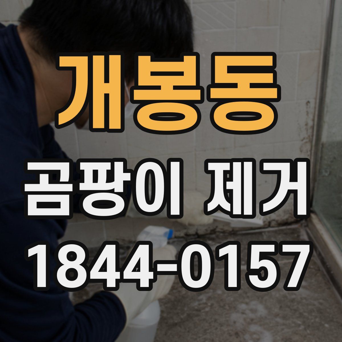 개봉동 곰팡이 제거