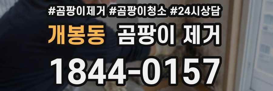 개봉동 곰팡이 제거