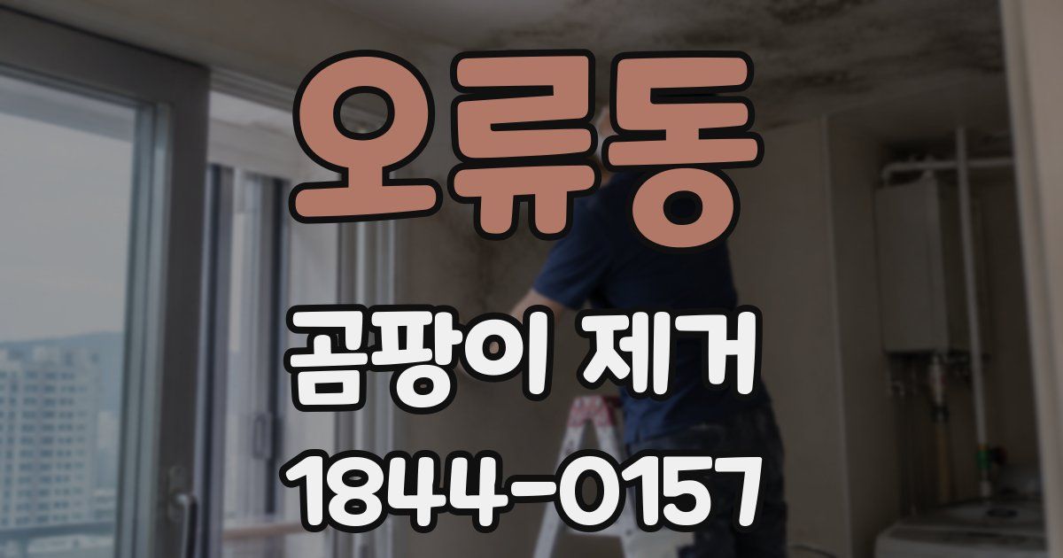 오류동 곰팡이 제거