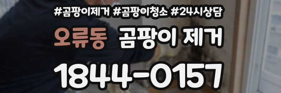 오류동 곰팡이 제거
