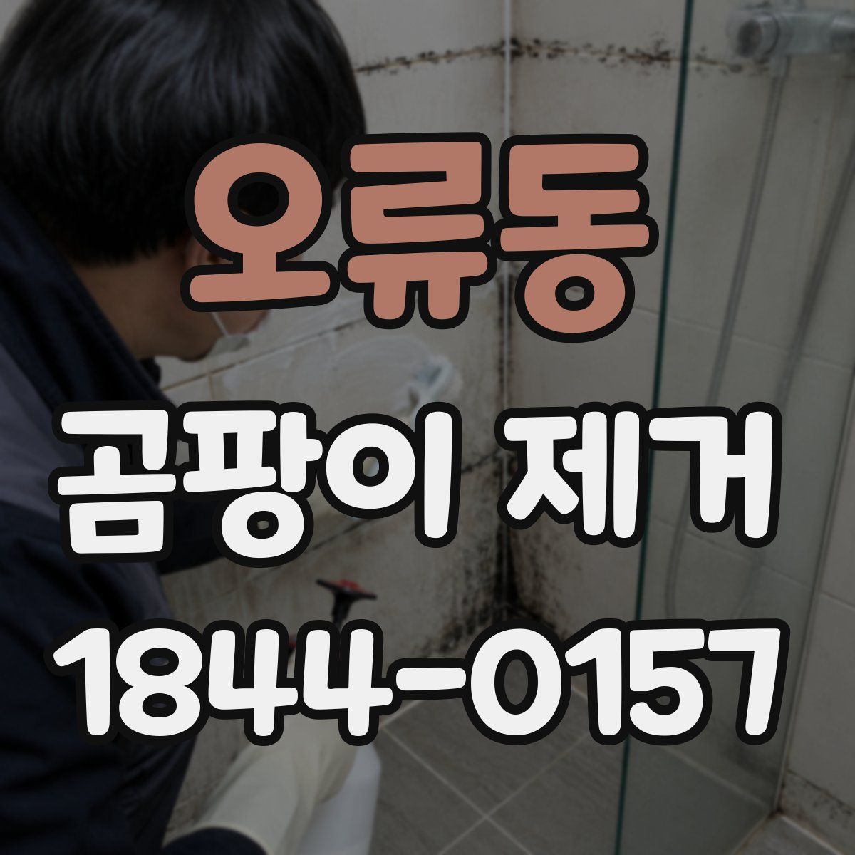 오류동 곰팡이 제거