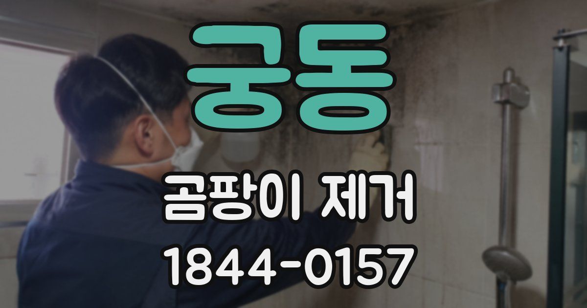 궁동 곰팡이 제거