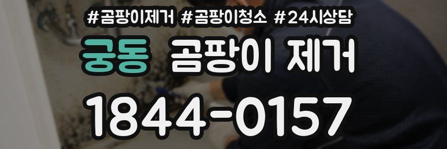궁동 곰팡이 제거