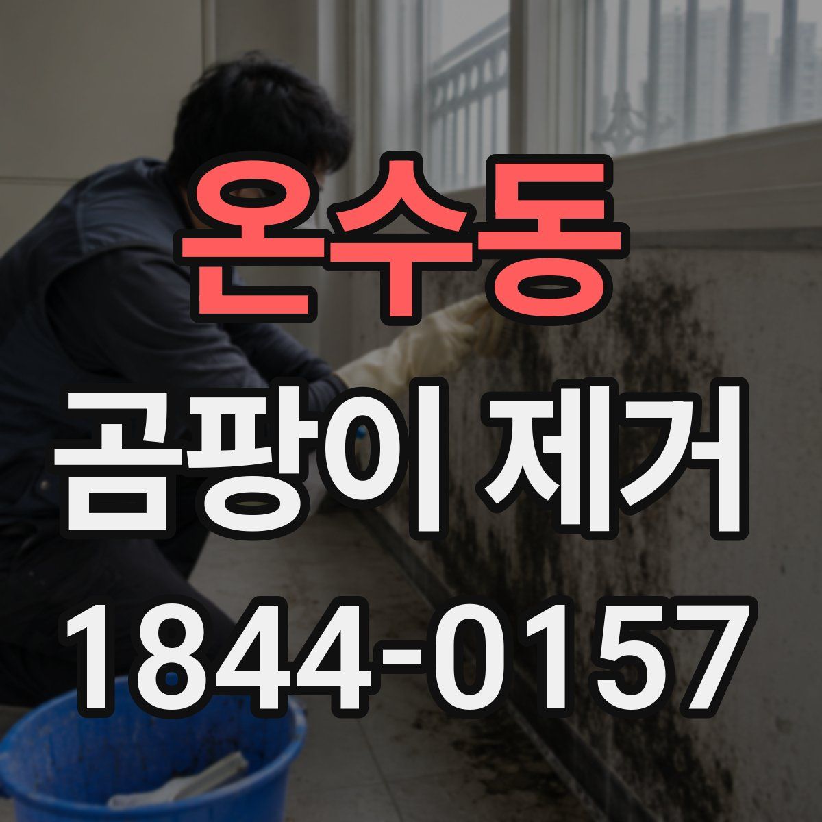 온수동 곰팡이 제거