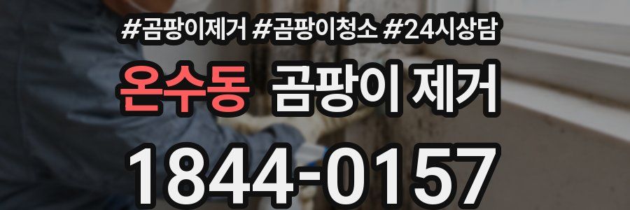 온수동 곰팡이 제거