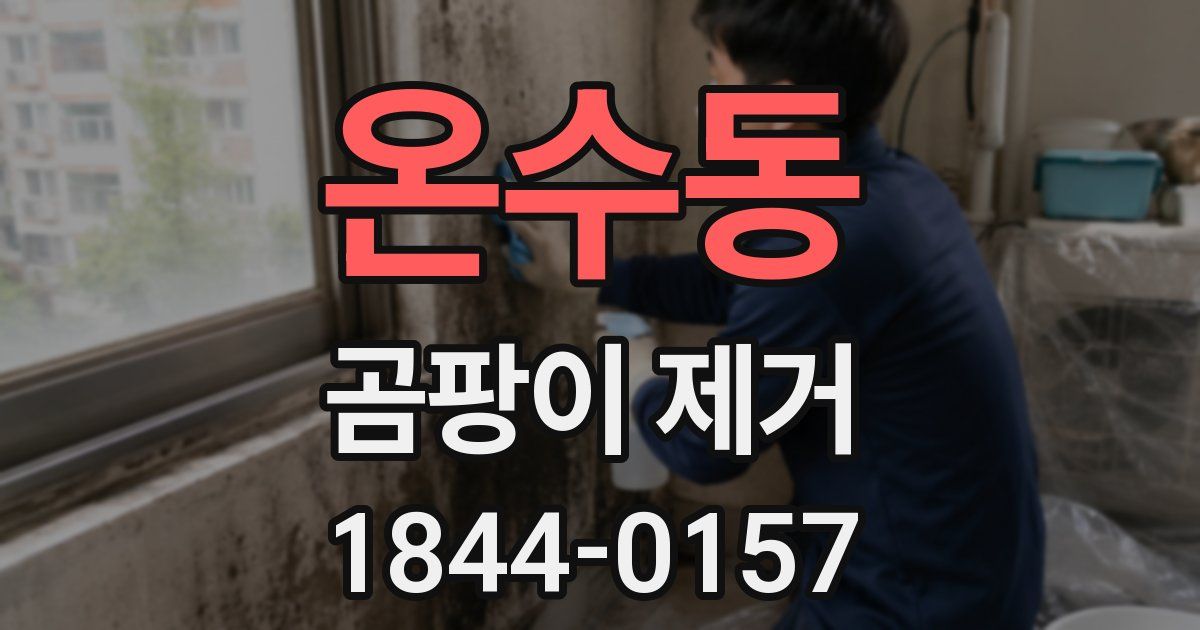온수동 곰팡이 제거
