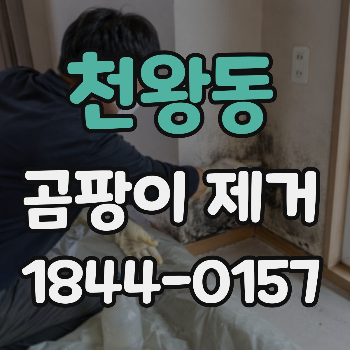 천왕동 곰팡이 제거