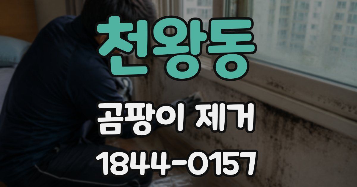 천왕동 곰팡이 제거