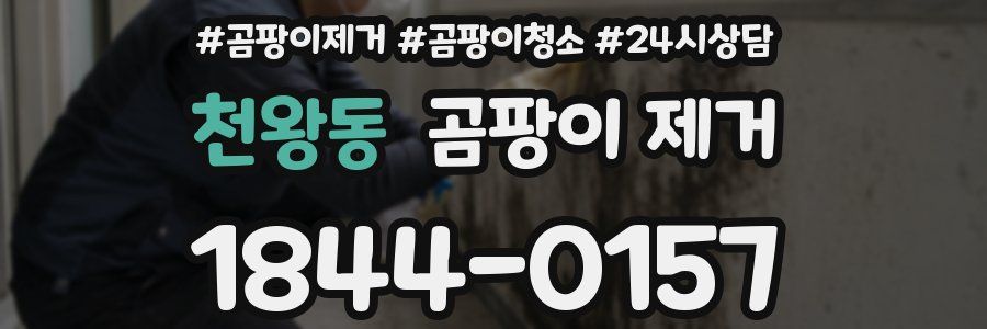 천왕동 곰팡이 제거