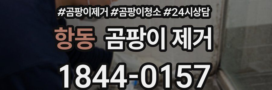 항동 곰팡이 제거