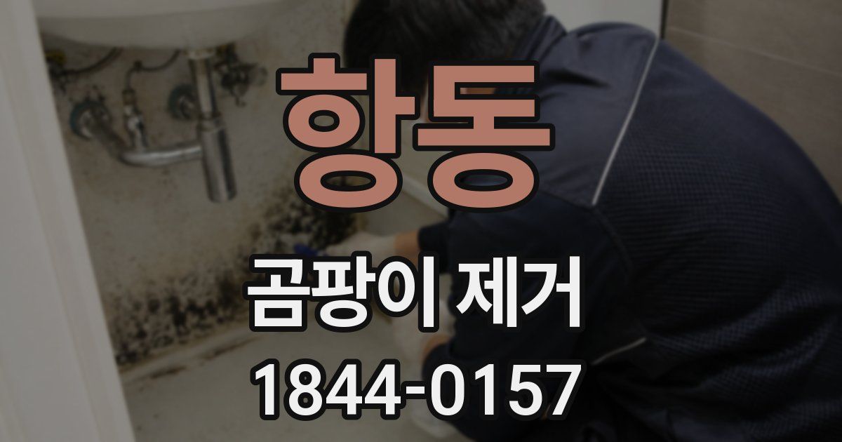 항동 곰팡이 제거