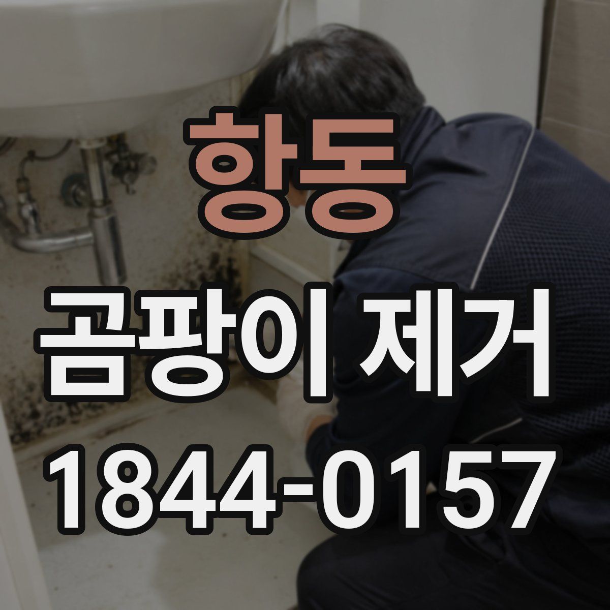 항동 곰팡이 제거