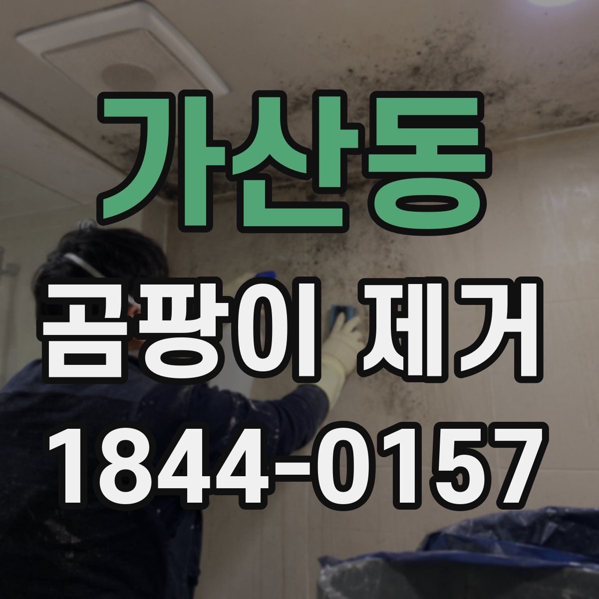 가산동 곰팡이 제거