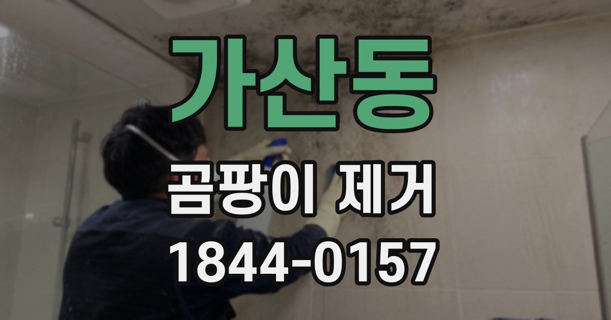 가산동 곰팡이 제거