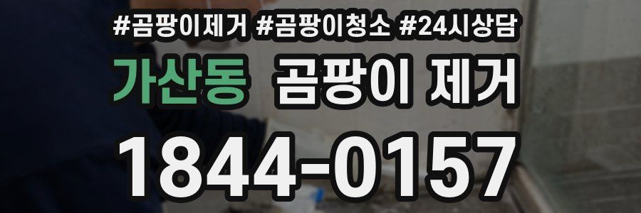 가산동 곰팡이 제거