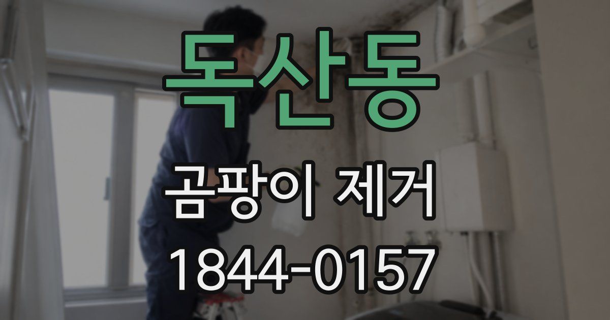 독산동 곰팡이 제거