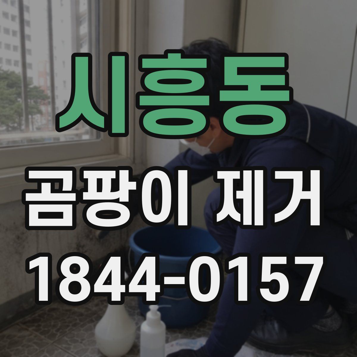 시흥동 곰팡이 제거