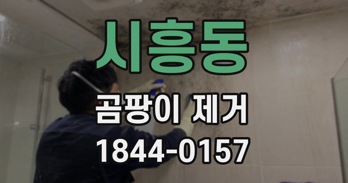 시흥동 곰팡이 제거