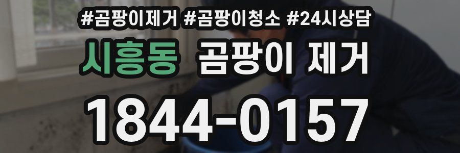 시흥동 곰팡이 제거