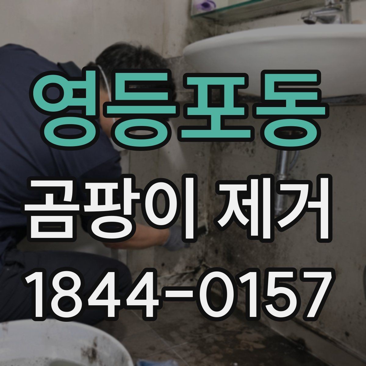 영등포동 곰팡이 제거 장마철 실내 습기 관리법