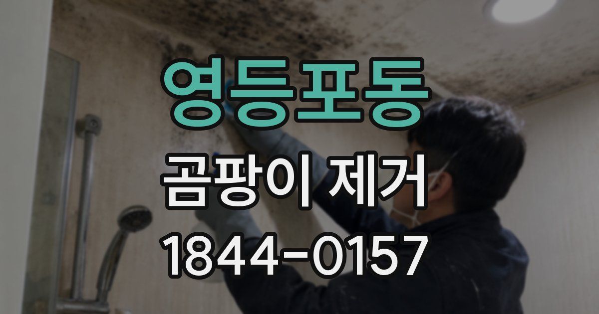 영등포동 곰팡이 제거