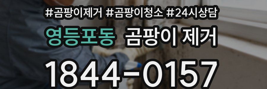 영등포동 곰팡이 제거