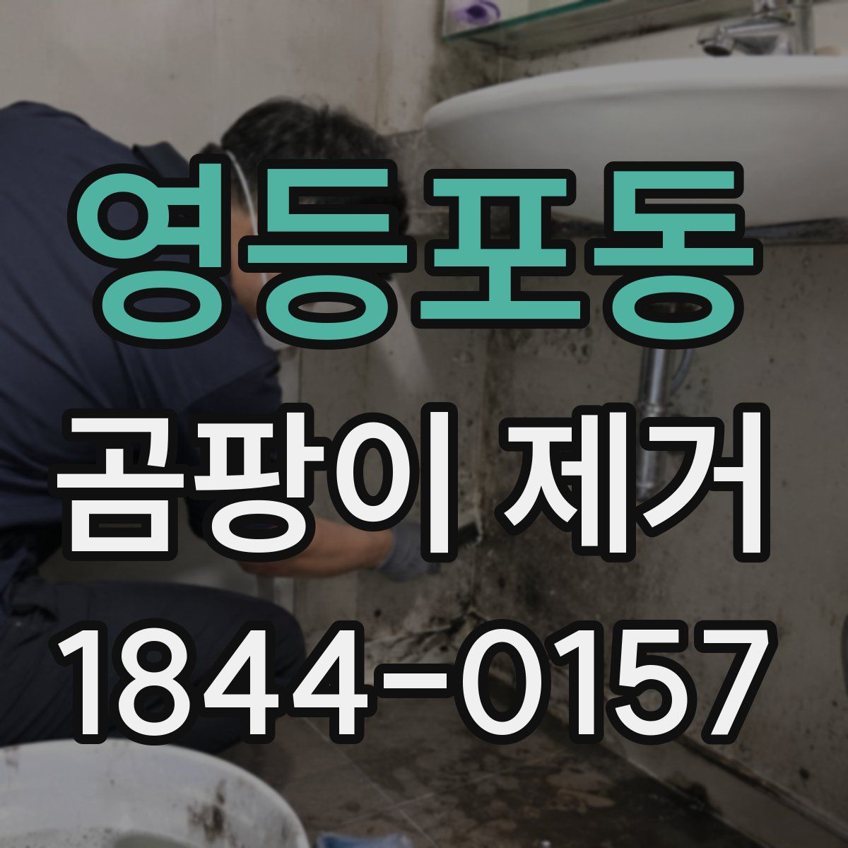 영등포동 곰팡이 제거