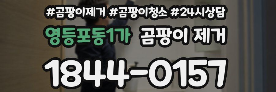 영등포동1가 곰팡이 제거