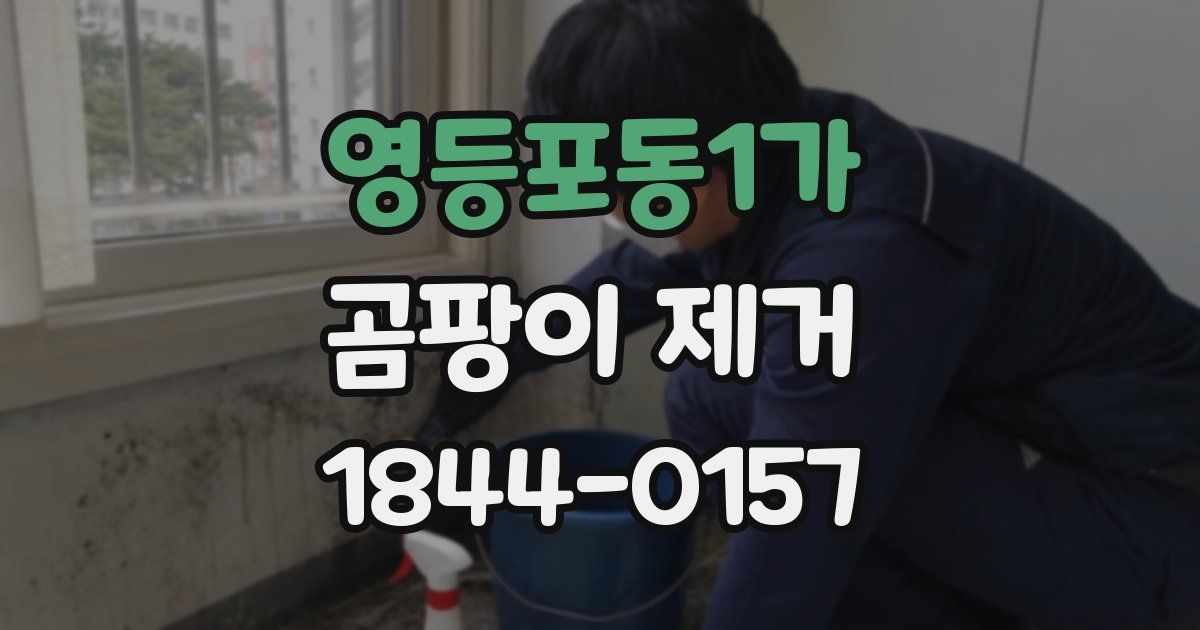 영등포동1가 곰팡이 제거