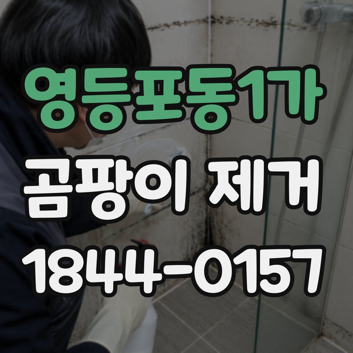 영등포동1가 곰팡이 제거