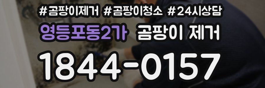영등포동2가 곰팡이 제거